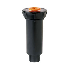Click here to see Rainbird 1803LN Rainbird 1803-LN Sprinkler Spray Head Without Nozzle, 3 in Pop Up Height, 1/2 in Inlet, PVC