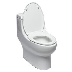 Click here to see Eago TB358 EAGO TB358 One-Piece Elongated Toilet, 1.6 & 1.1 GPF - White