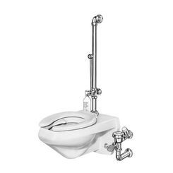 Click here to see Sloan 3017200 Sloan Royal BPW 1045-3.5 Exposed Manual Specialty Water Closet Bedpan Washer Flushometer (3017200)