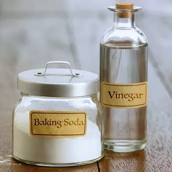 vinegar and baking soda are great for cleaning disposals