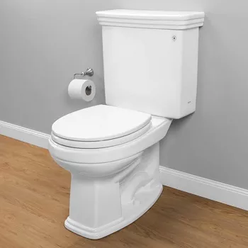 angled view of Promenade II toilet installed