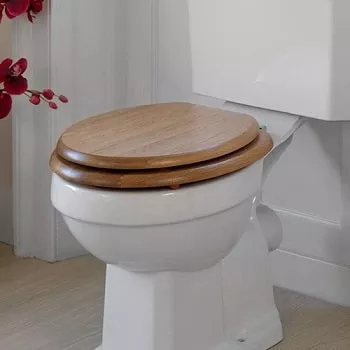installed wooden seat - wood or plastic toilet seats