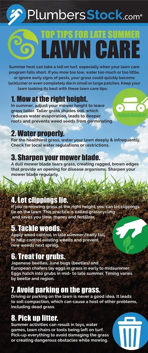 tips for late summer lawn care