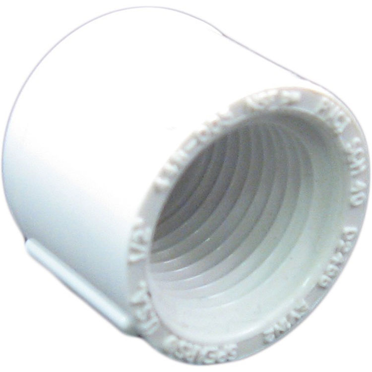 Commodity PVCCAP12T Schedule 40 PVC Threaded Cap, 1/2 Inch