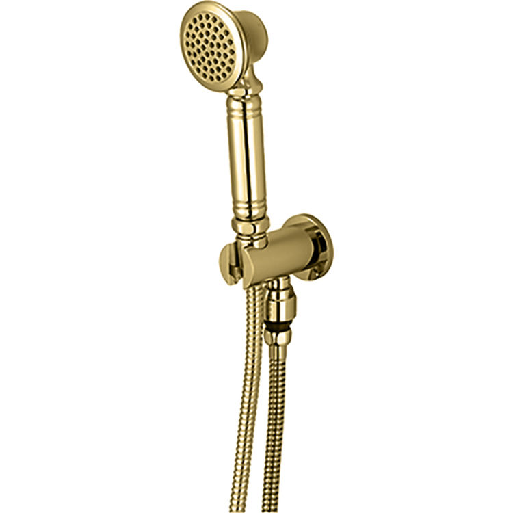 Pioneer 6am410 Pb Handheld Shower Set In An Elegant Polished Brass Finish