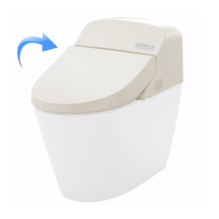 Toto SN920M#12 Toto G400 Washlet Top-Unit-Only, Sedona Beige (SN920M#12)