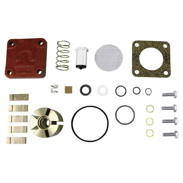 FillRite 4200KTF8739 Pump Repair Kit, For Use with 600C, 1200C, 2400C