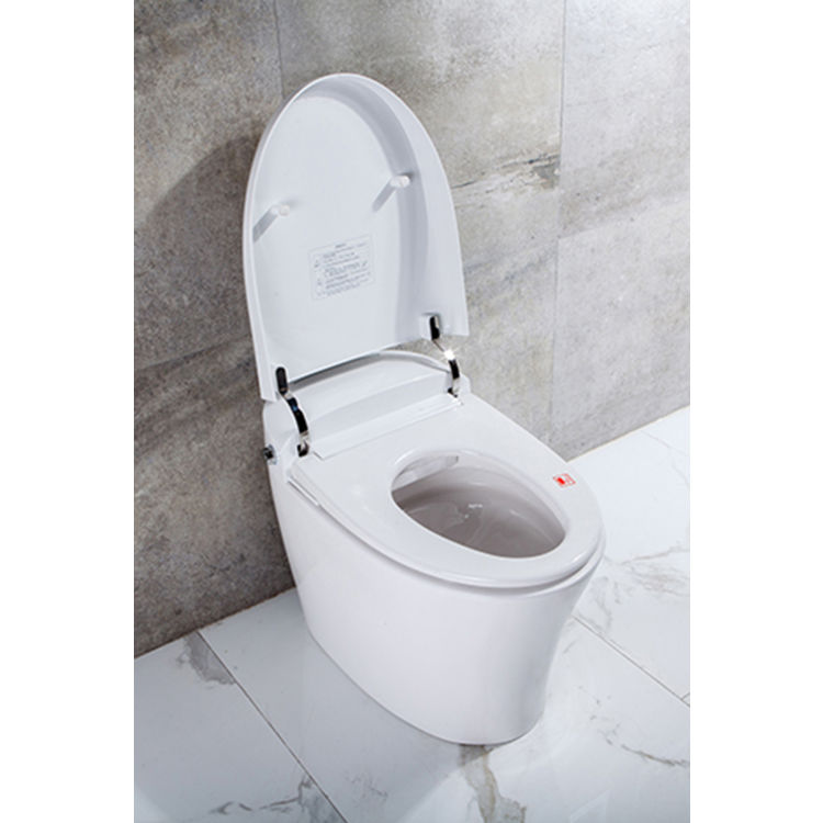 White Trone NETBCERN-12.WH Neodoro Complete Electronic Toilet with Integrated Bidet 