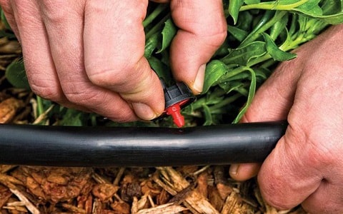 How To Install A Drip Irrigation System - www.inf-inet.com