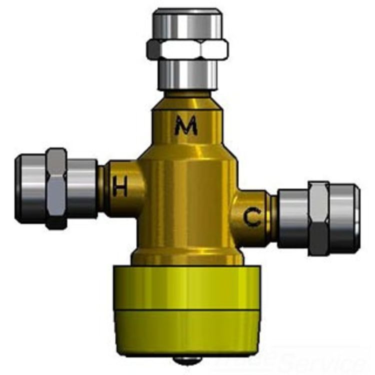 T&S Brass 5EFTMV Thermostatic Mixing Valve PlumbersStock